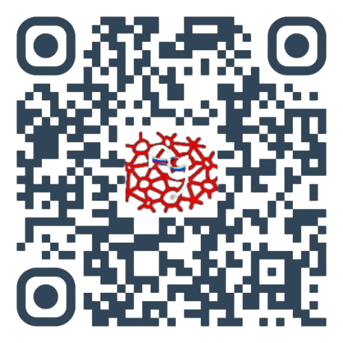 QR Code PWA App